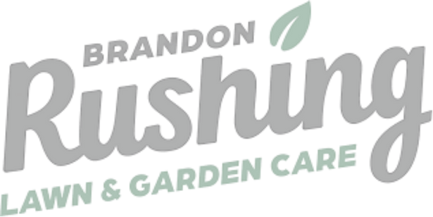 Blurred creatives (67)